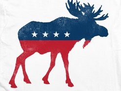 bull moose